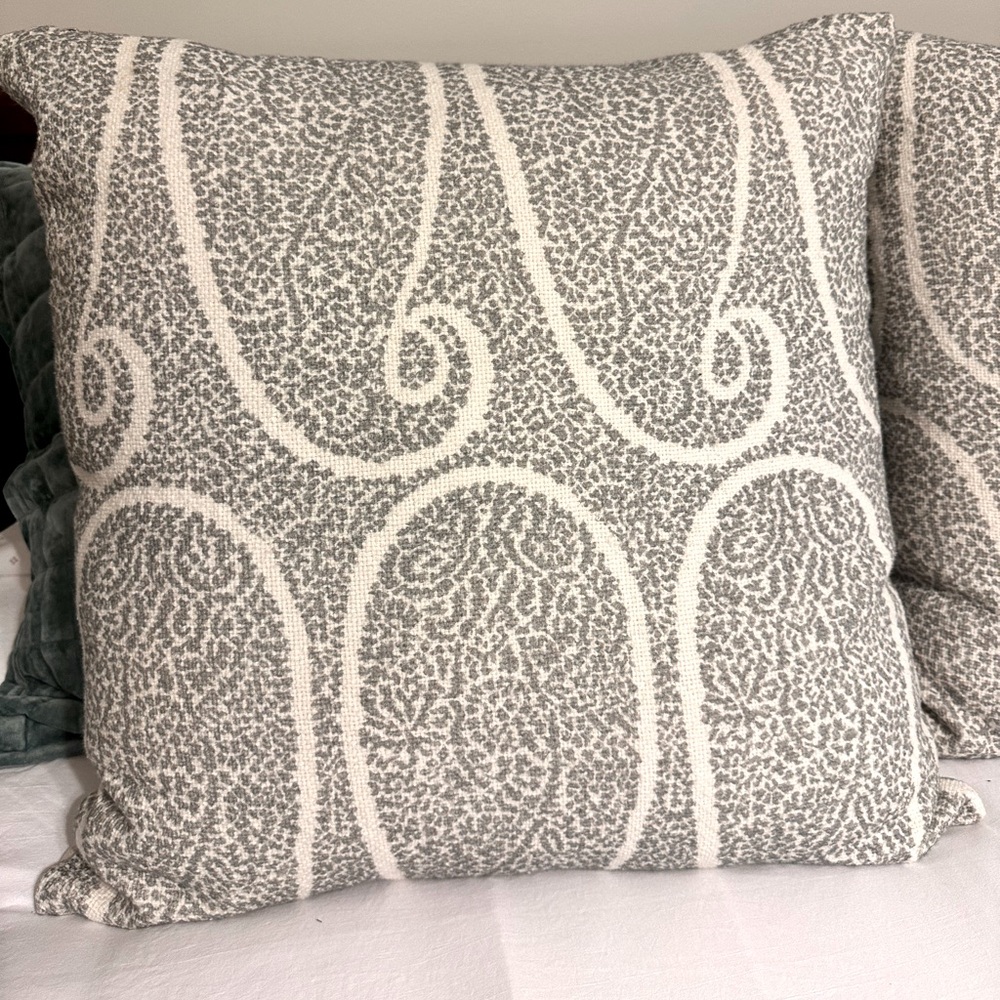 Pottery Barn 22” Pillow Cover